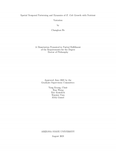 161972-Thumbnail Image.png